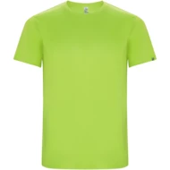 fluorescencyjna zieleń