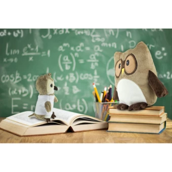Pluszowa poduszka, sowa | Professowl (NAX-HE785-18)