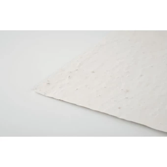 Arkusz A4 z nasionami kwiatów - ASIDI (NMO-MO6914-06)