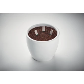 Patyczki z nasionami ziół - LEYTI (NMO-MO6927-13)