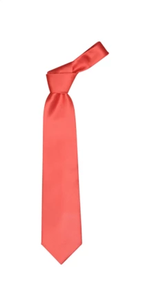 Colours necktie - red (NAD-AP1222-05)