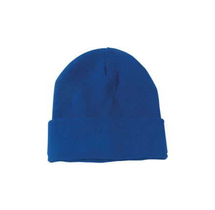 Banie winter hat - blue (NAD-AP761334-06)