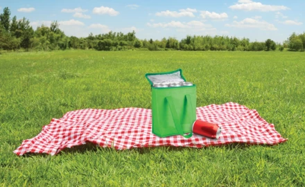 Fridrate torba termiczna - zielony (NAD-AP809430-07)