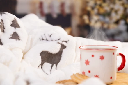 Arsunda Koc świąteczny RPET - szary (NAD-AP861014-77)