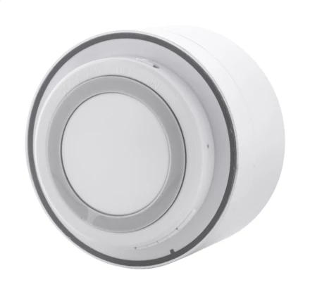 Ramesh głośnik bezprzewodowy - srebrny (NAD-AP864112-21)