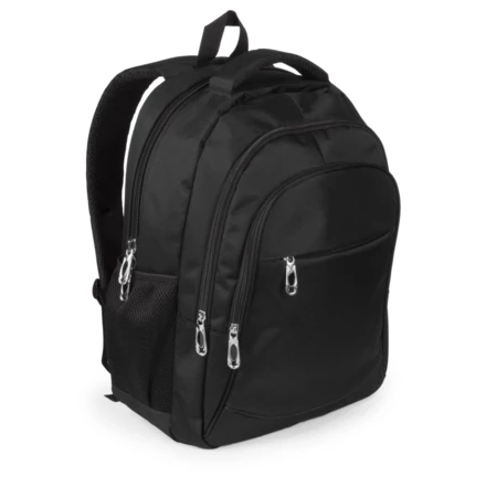 Laptop backpack 15" (NAX-V8454-03)