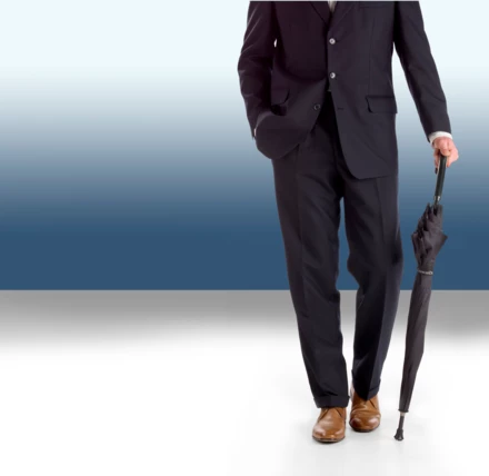 Regenschirm Charles Dickens®, Stock, automatisch (NAX-V4156-03)