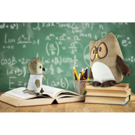 Pluszowa poduszka, sowa | Professowl (NAX-HE785-18)