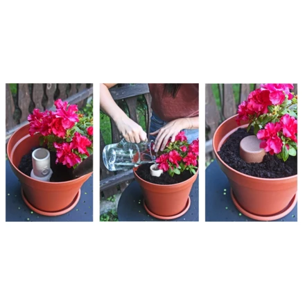 Ceramiczne naczynie do nawadniania roślin 200 ml B'RIGHT | I'Riga (NAX-V8890-00)