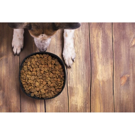 Składana miska dla psa RPET (NAX-V8340-16)