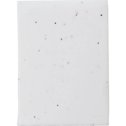 Zestaw do notatek, karteczki samoprzylepne, papier z nasionami (NAX-V2997-02)