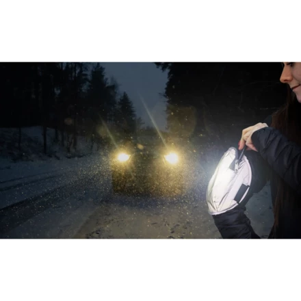 Opaska na ramię, etui na telefon | Robin (NAX-V7289-19)