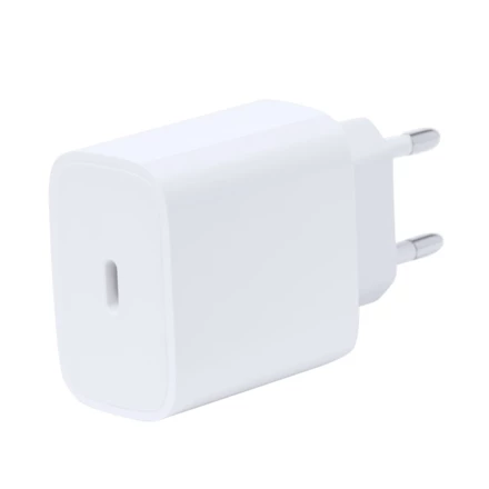 Szybka ładowarka ścienna (NAX-V2030-02)