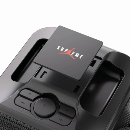 Zestaw do karaoke Singvibe, głośnik bezprzewodowy i dwa mikrofony (NAX-P331.0601)