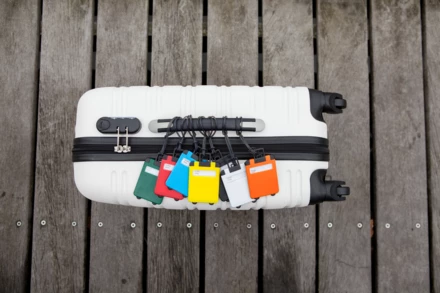 Zawieszka do bagażu (NAX-V4172-23)