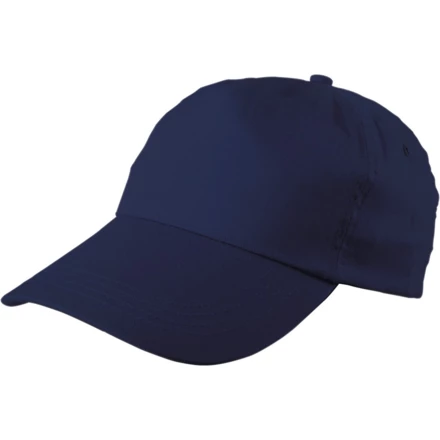 Cap (NAX-V7005-04)