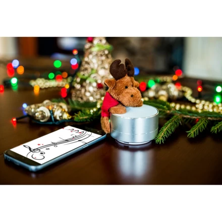 Głośnik bezprzewodowy, radio | Silas (NAX-V3879/W-32)