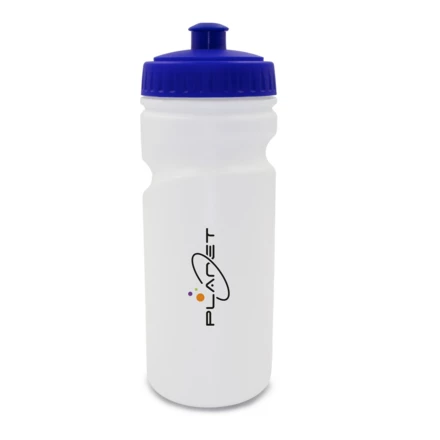 Water bottle 500 ml | Ernest (NAX-V9875-04)