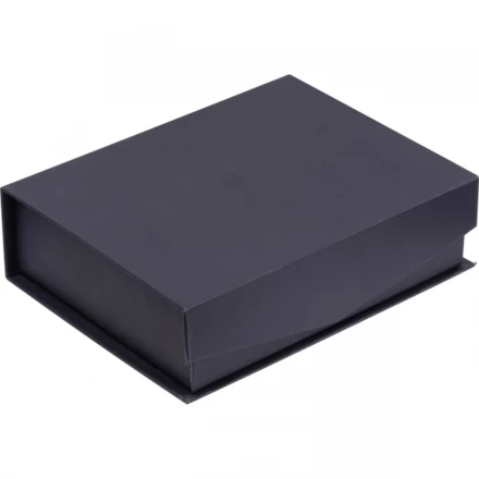 Trofeum BURNLEY - przeźroczysty - (NEG-5296-66)