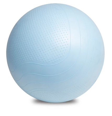 Piłka do ćwiczeń Fitball, niebieski (NPB-R07992.04)