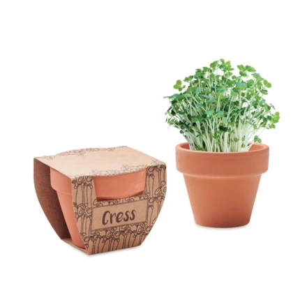 Nasiona rzeżuchy w doniczce - CRESS POT (NMO-MO2219-40)