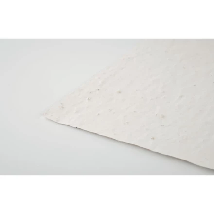 Arkusz A4 z nasionami kwiatów - ASIDI (NMO-MO6914-06)