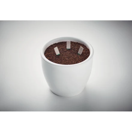 Patyczki z nasionami ziół - LEYTI (NMO-MO6927-13)