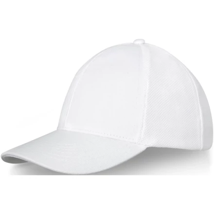 6-panelowa bawełniana czapka Drake z daszkiem typu trucker cap (NPC-38680010)