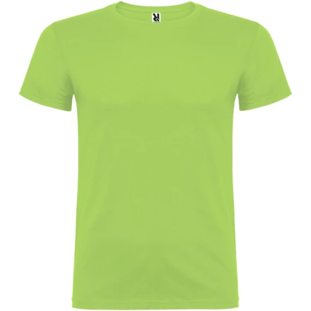 Beagle koszulka męska z krótkim rękawem - 2XL (NPC-R65545R5)