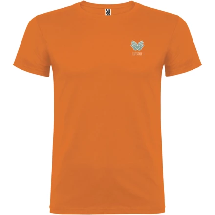 Beagle koszulka dziecięca z krótkim rękawem - 11/12 (NPC-K65543IL)