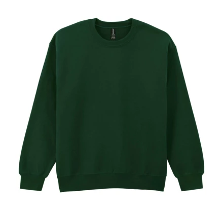 Bluza ze ściągaczem (NFR-235095414)