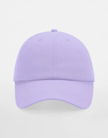 Junior Low Profile 6 Panel Dad Cap (NFR-143693450)