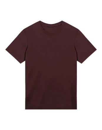 Męska koszulka Regular Tee (NFR-100414457)