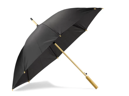 Parasol POTIK (NAS-37062-02)