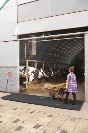 Mata dezynfekcyjna przejazdowa 120x300x4cm 1384087 (NJG-1384087)