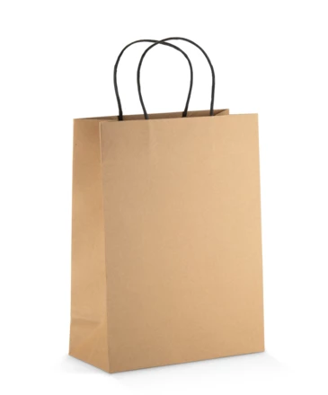 Torba papierowa PAKLO duża (NAS-02223-09)