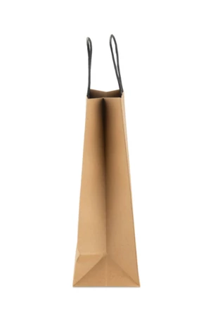 Torba papierowa PAKLO duża (NAS-02223-09)