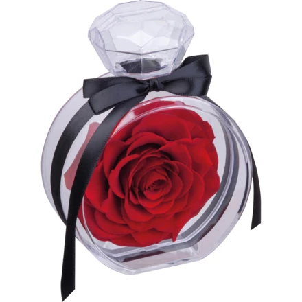 Róża dekoracyjna MARCELLA - czerwony - (NMC-75427-05)