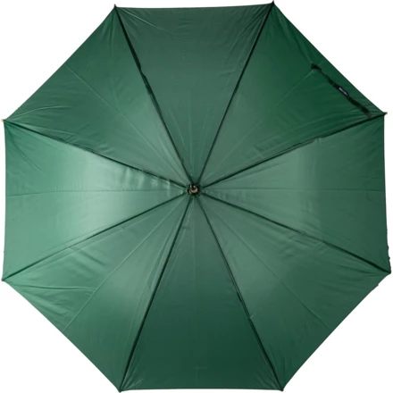 zielony