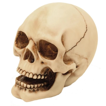 Figurka Czaszka 10cm Dekoracja– MC-30684 (NMT-306846)