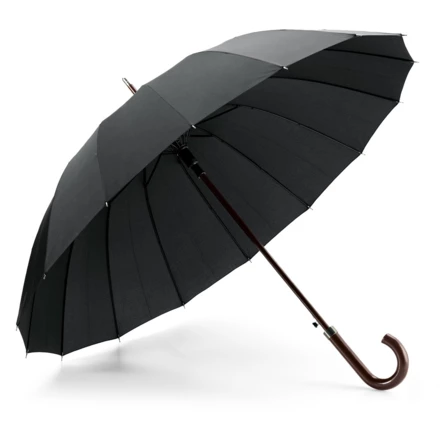 HEDI. 16 rib automatic opening umbrella in 190T pongee with automatic opening (NPS-99136-103)