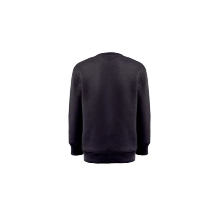 THC DELTA KIDS. Kindersweatshirt aus recycelter Baumwolle und Polyester (NPS-30287-103-4)