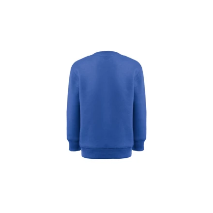 THC DELTA KIDS. Kindersweatshirt aus recycelter Baumwolle und Polyester (NPS-30287-114-12)
