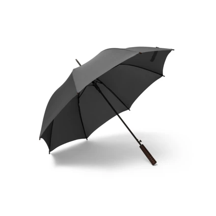 APOLO. Recycled polyester (100% rPET) pongee umbrella with automatic opening (NPS-99149-103)