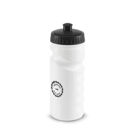 LOWRY. Butelka sportowa HDPE o pojemności 530 ml (NPS-94616-103)