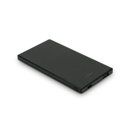 DENNING. Smukły power bank ze stali nierdzewnej o pojemności 5000 mAh (NPS-97184-103)