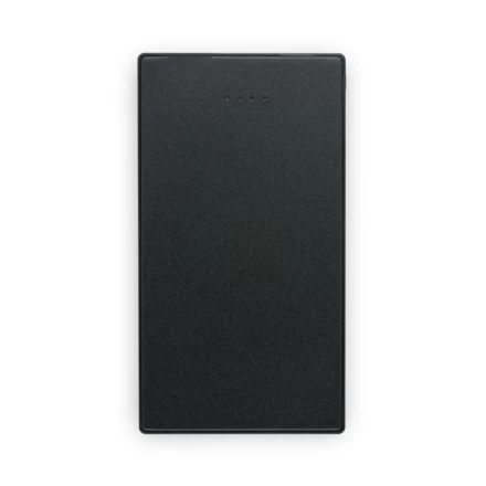 DENNING. Smukły power bank ze stali nierdzewnej o pojemności 5000 mAh (NPS-97184-103)