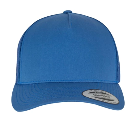 dark cobalt, lions blue