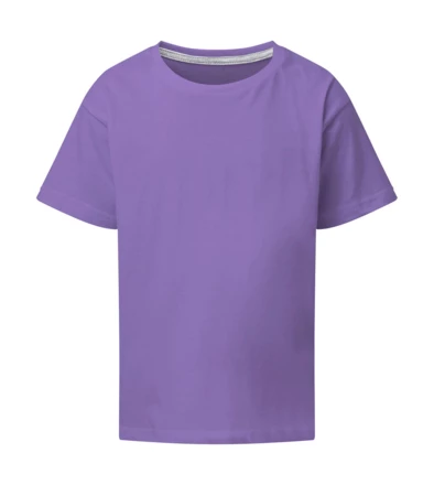 aster purple