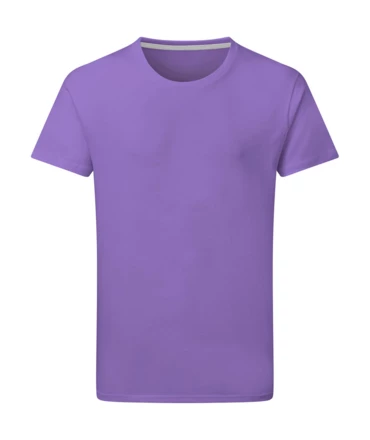 aster purple